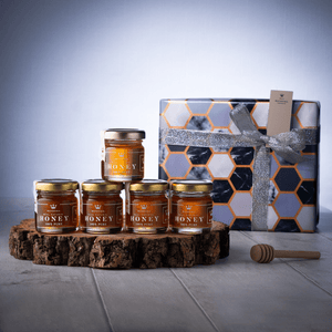 NEW! Rare Honey Taster Box - 5 Beautiful Sampler Jars & Mini Honey Dipper - Maters & Co