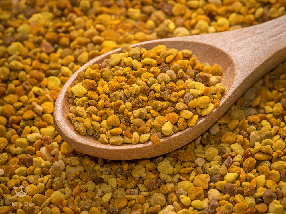 Wooden spoon filled with yellow and brown bee pollen on a background of bee pollen.