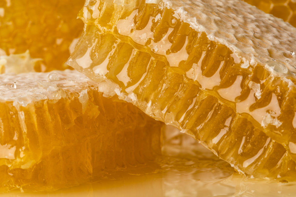 Close-up of honeycomb with honey, highlighting the texture and cells.