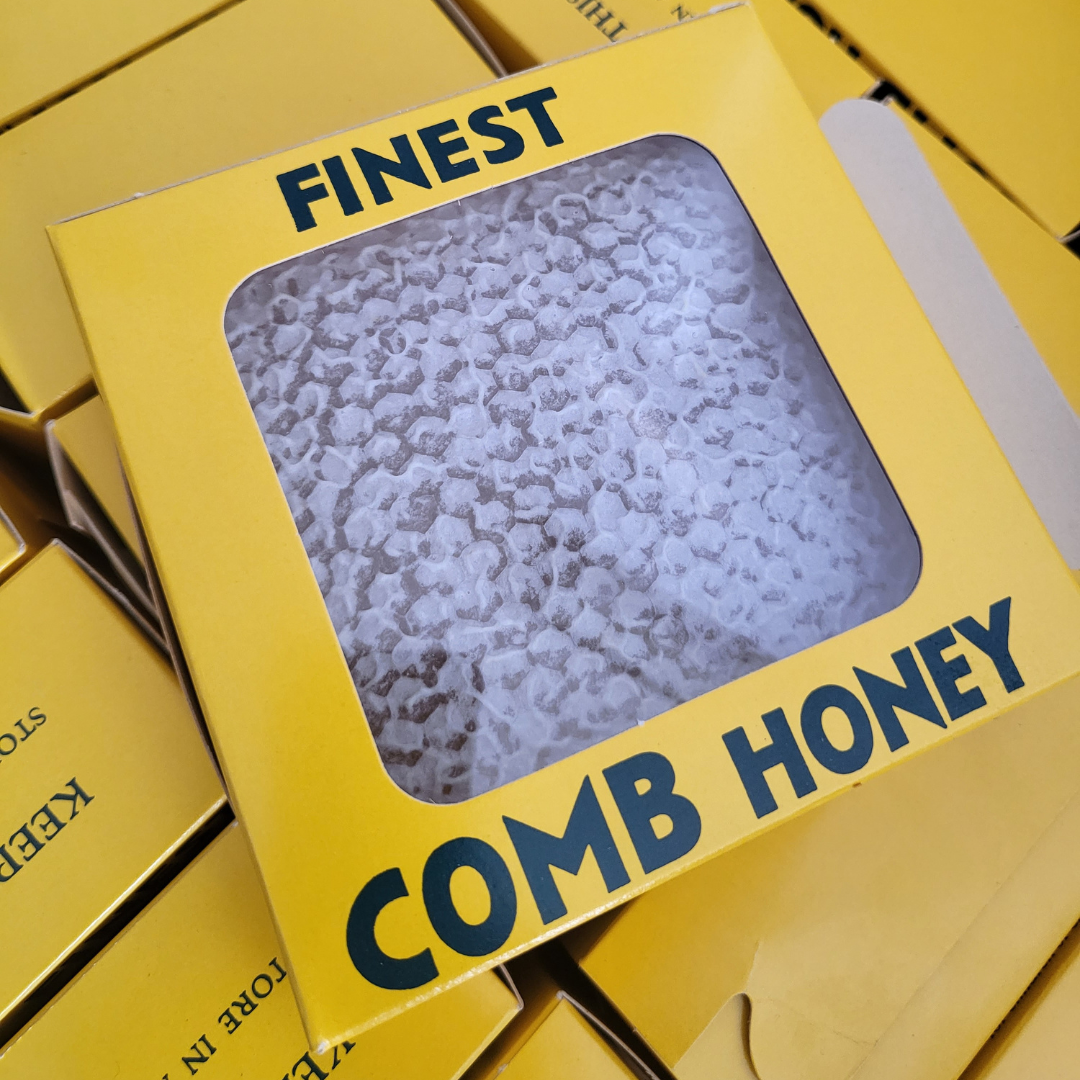 Mini Borage Honeycomb Frame - Maters & Co