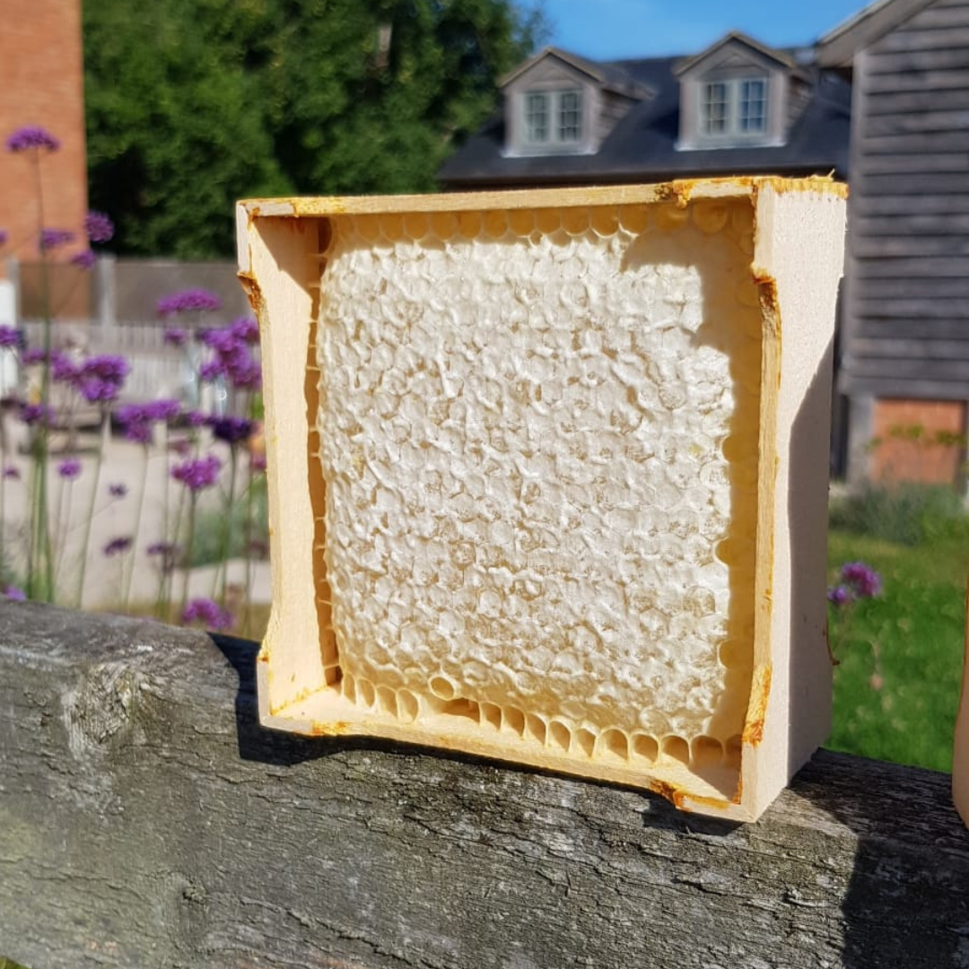 Mini Borage Honeycomb Frame - Maters & Co