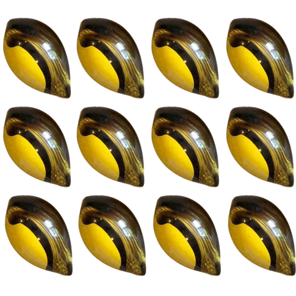 Raw Honey Chocolate Bon Bons - Maters & Co