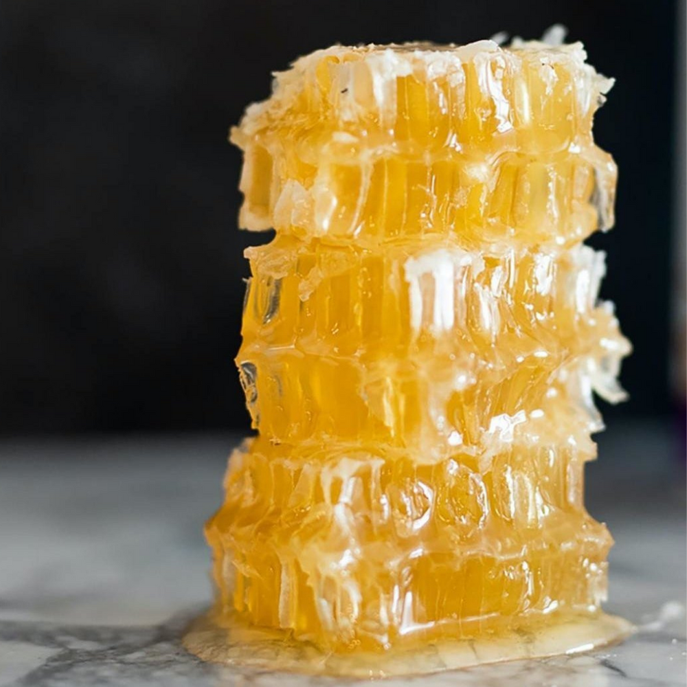 Mini Borage Honeycomb Frame - Maters & Co